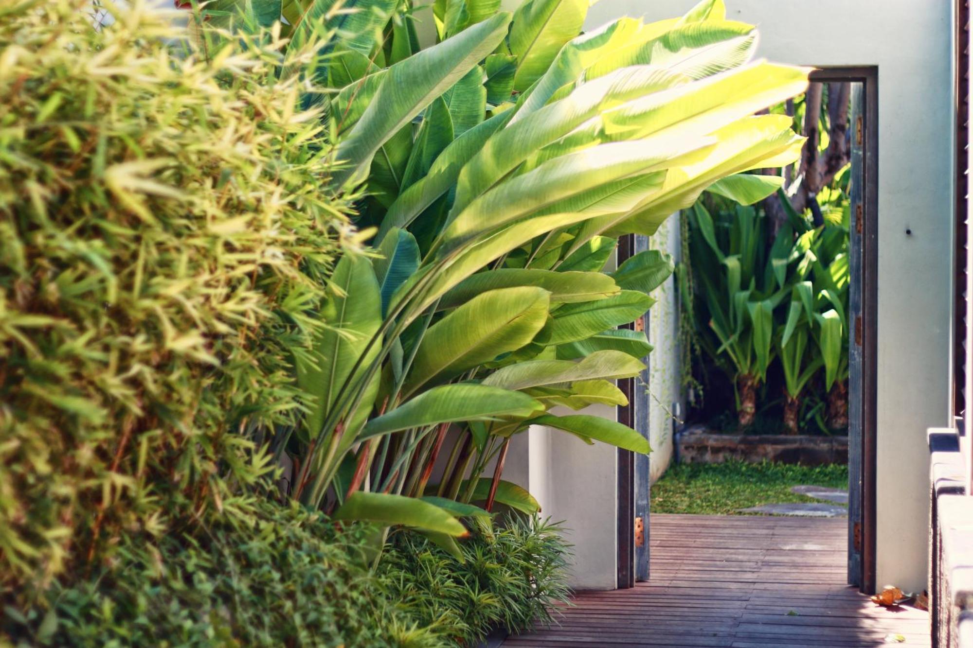 Hu'U Villas Seminyak Szoba fotó